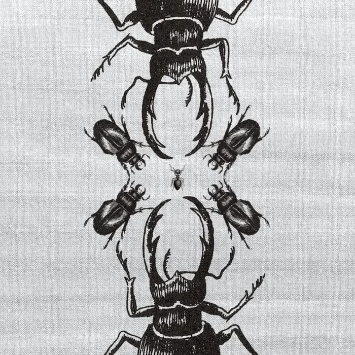 Insects