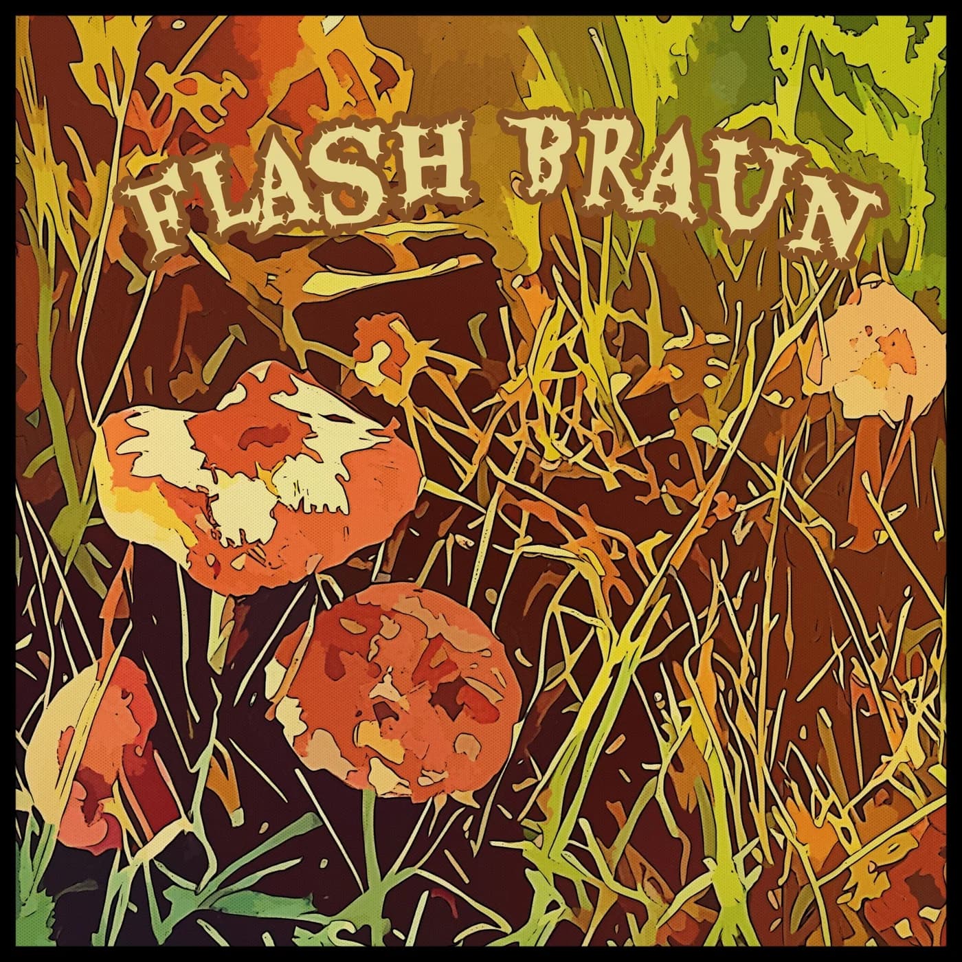 Flash Braun
