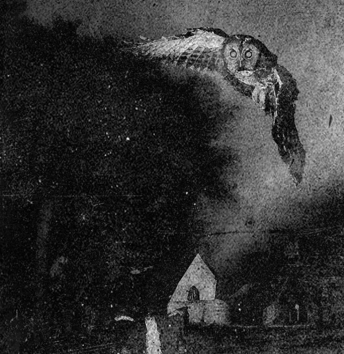 Nocturnes